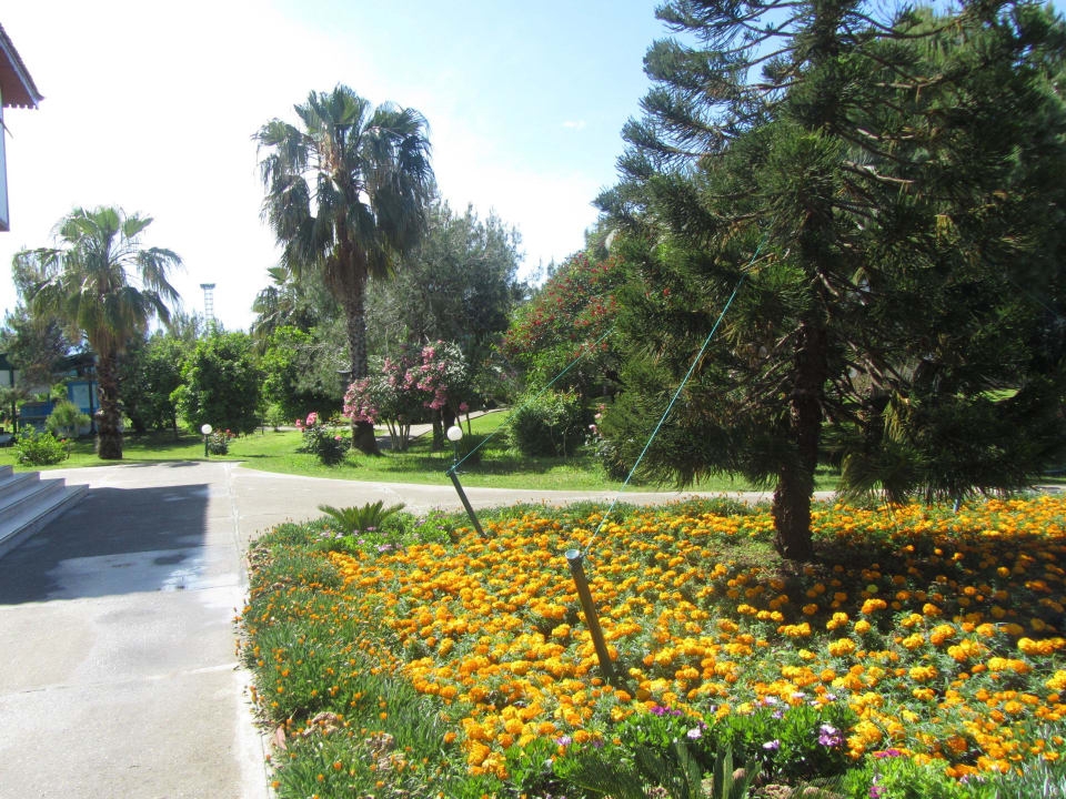 Hotel Club Ali Bey Manavgat Ali Bey Club