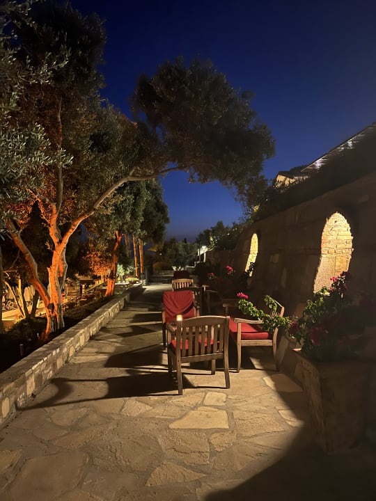 Ausblick Arum Barut Collection