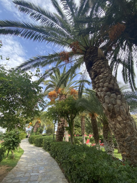 Gartenanlage Apollonia Beach Resort & Spa