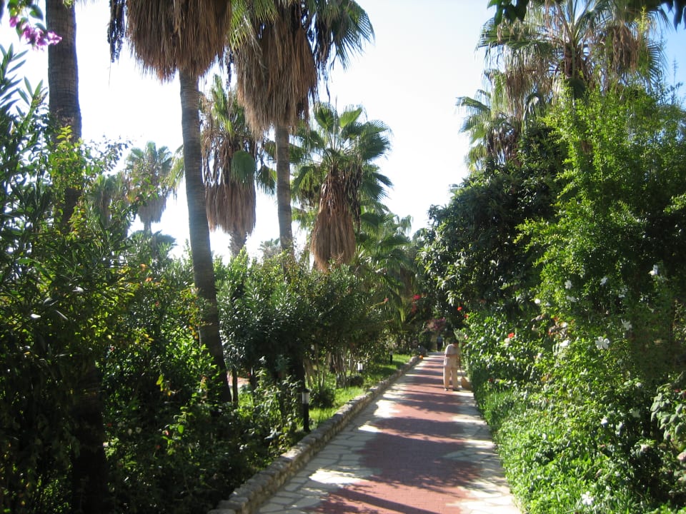 Sonstiges Hotel Defne Garden