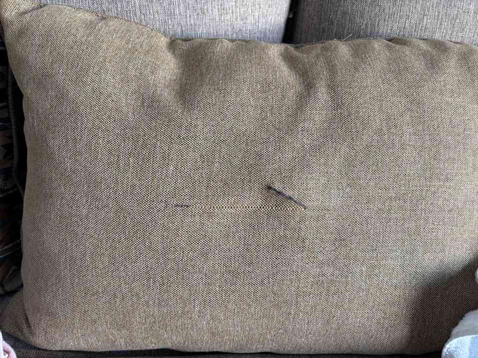 Zimmer JAZ Elite Asteria