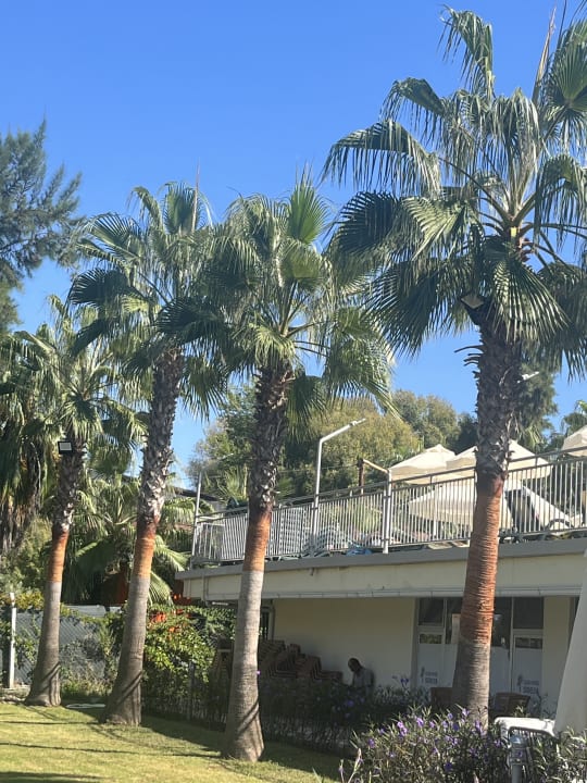 Gartenanlage Club Sidelya Hotel