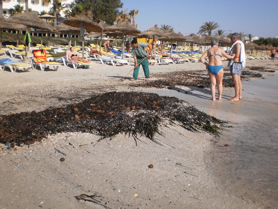 Pláž Hotel Thalassa Mahdia