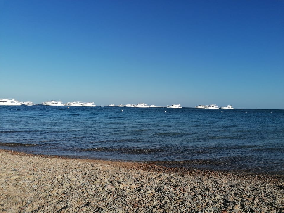 Strand The Grand Palace - Adults only