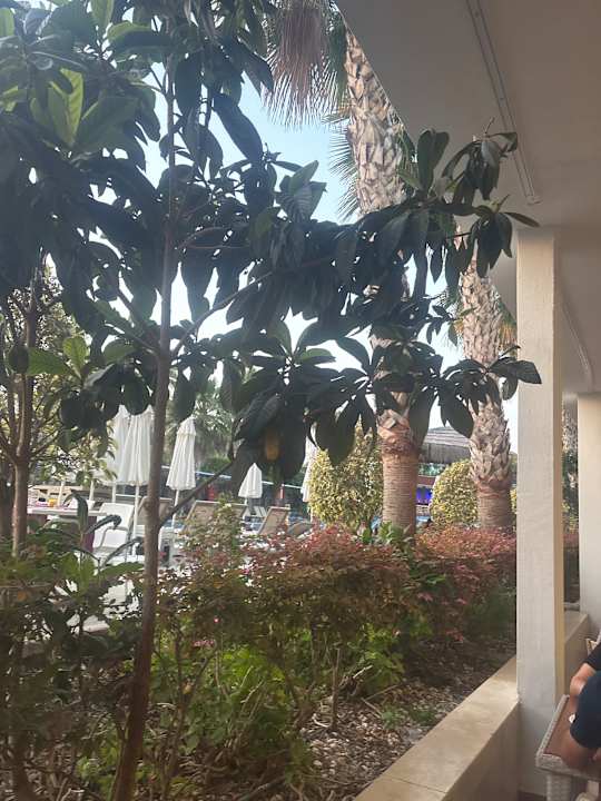 Ausblick Dream World Aqua Hotel