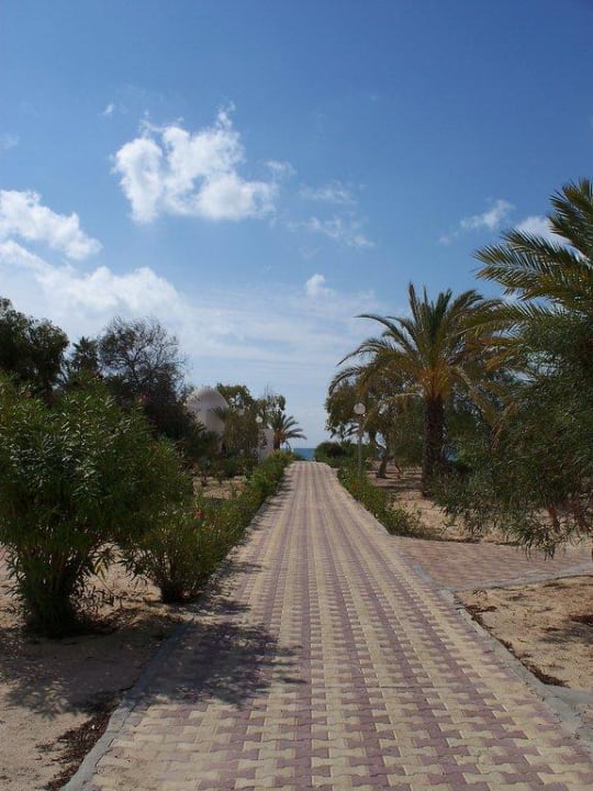 Gartenanlage Hotel El Mouradi Djerba Menzel