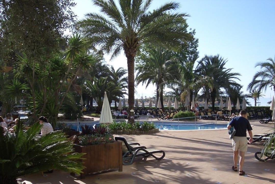 Poolbereich VIVA Golf - Adults only 18+