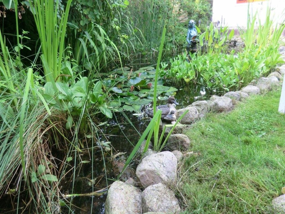 Liebevoll angelgtes Biotop Hotel Landhaus Dierkow