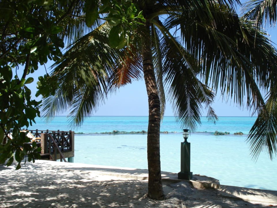Ausblick Summer Island Maldives