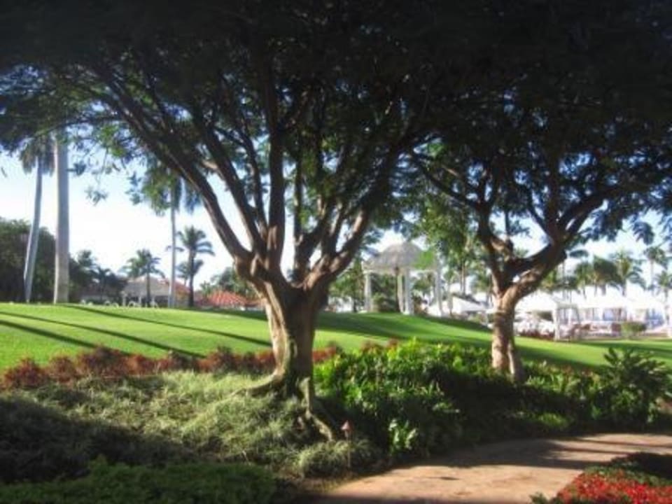 Teil des gepflegten Gartens Grand Wailea A Waldorf Astoria Resort