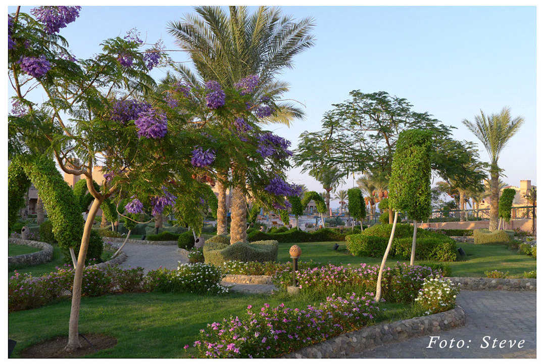 Farbige Akzente Sentido Akassia Beach