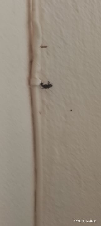 Gastro Begeti Bay Hotel