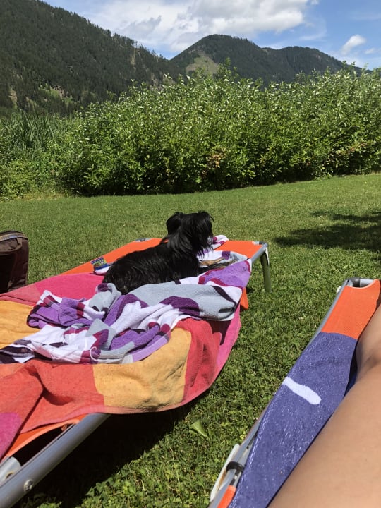 Gartenanlage Haus am See