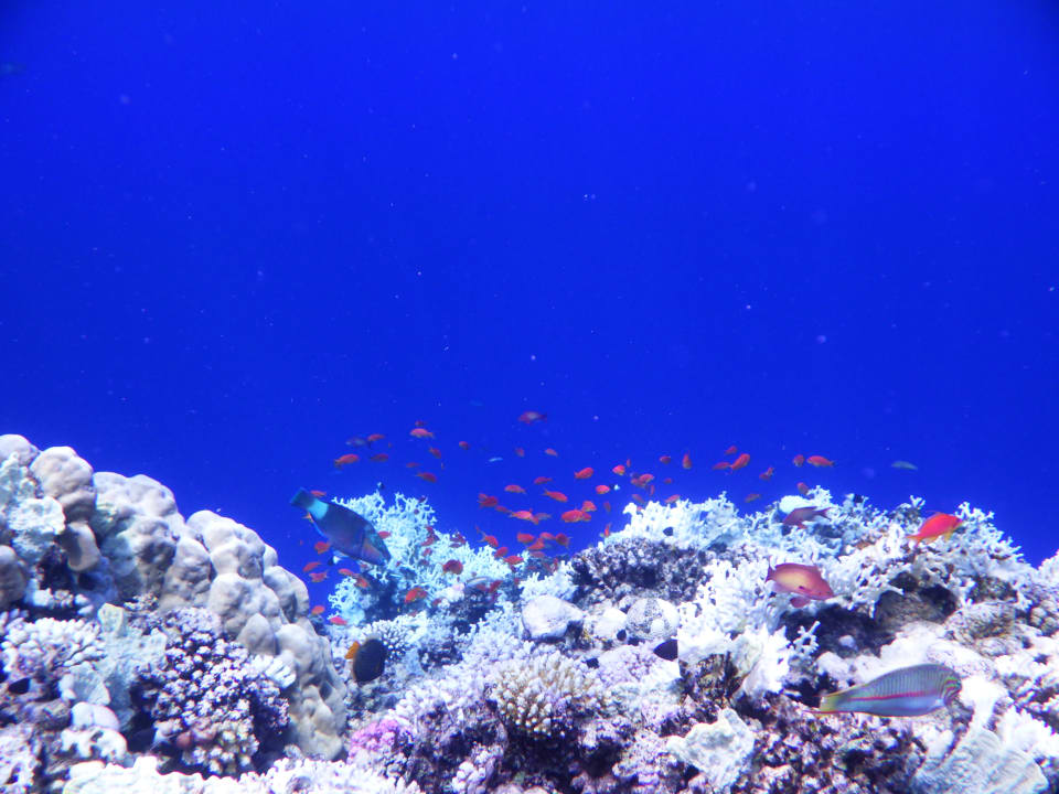 Strand Bliss Nada Beach Resort