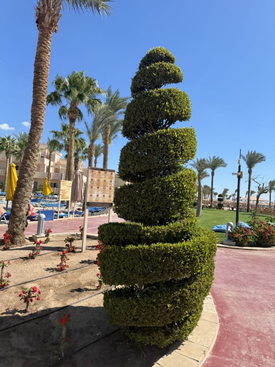 Gartenanlage Pickalbatros Palace Resort