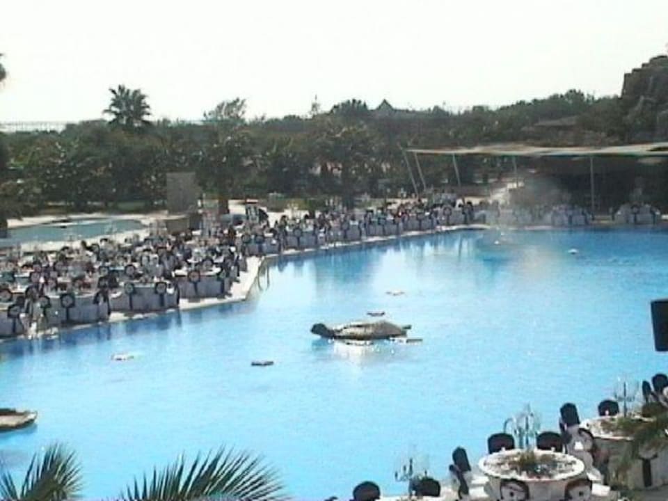 Deko am Aktivpool am Gala Abend VONRESORT Golden Coast