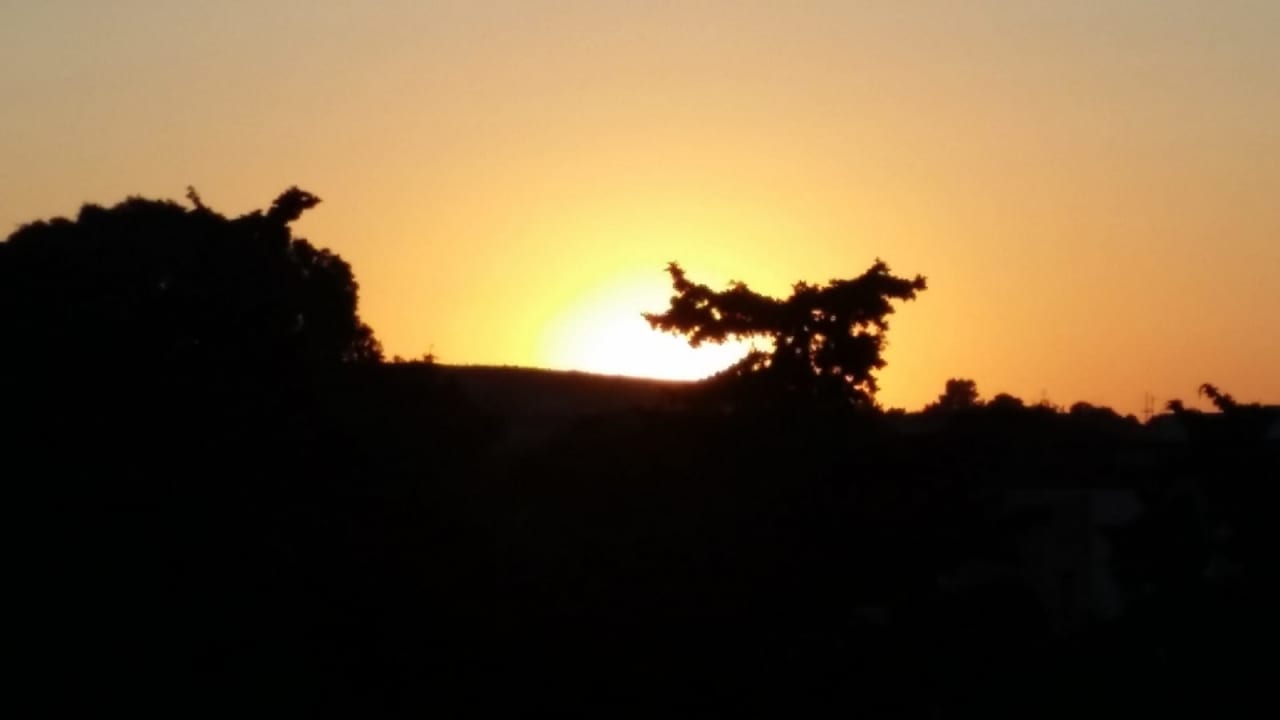 Außenansicht TUI BLUE Oceanis Beach and Spa Resort