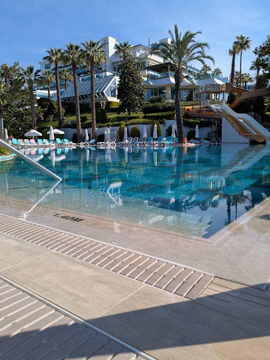 Pool Side Star Elegance