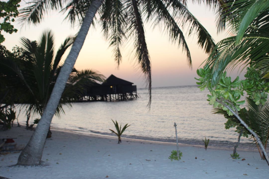 Vom Strandbungalow Kuredu Island Resort & Spa