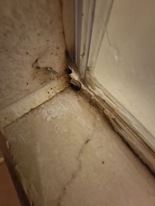 Zimmer Pickalbatros Citadel Resort