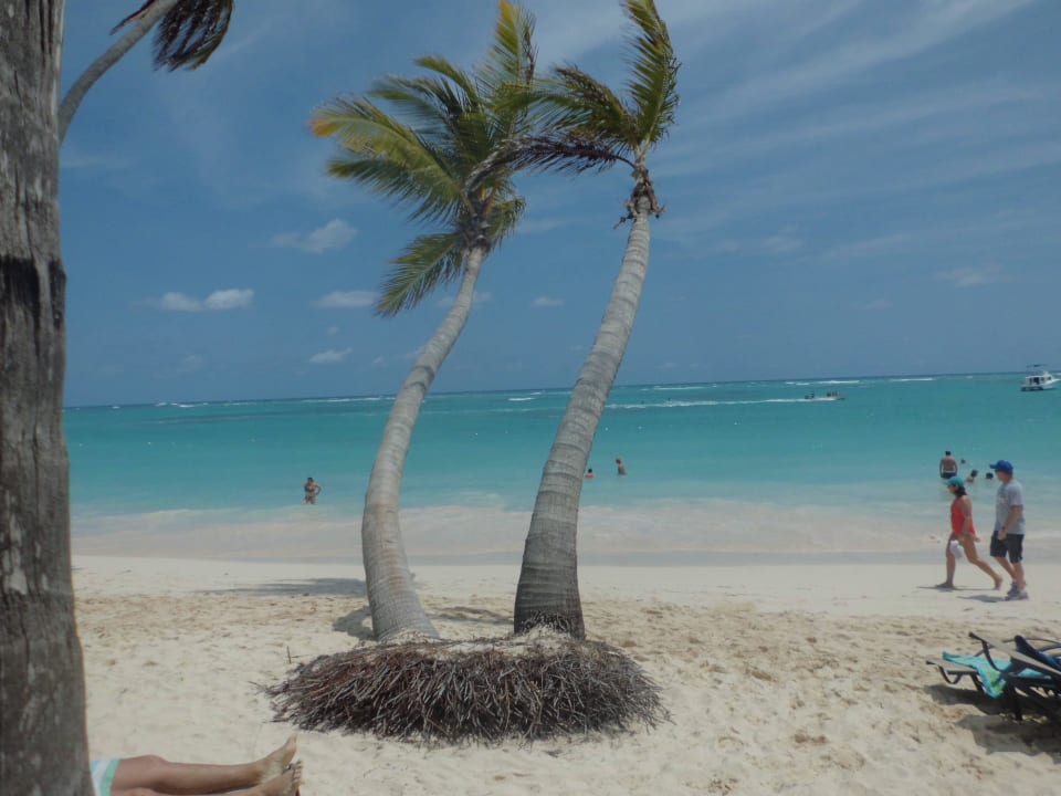 Schön TRS Turquesa Hotel - Adults only