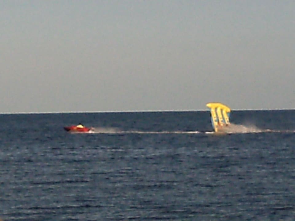 Flying Fish. Hotel El Mouradi Djerba Menzel