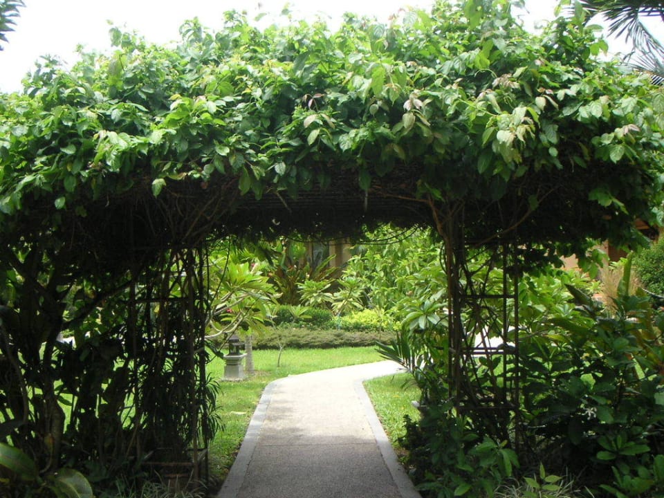 Garten The Fair House Beach Resort