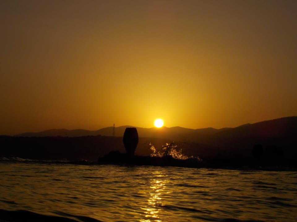 Ausblick allsun Hotel Carolina Mare