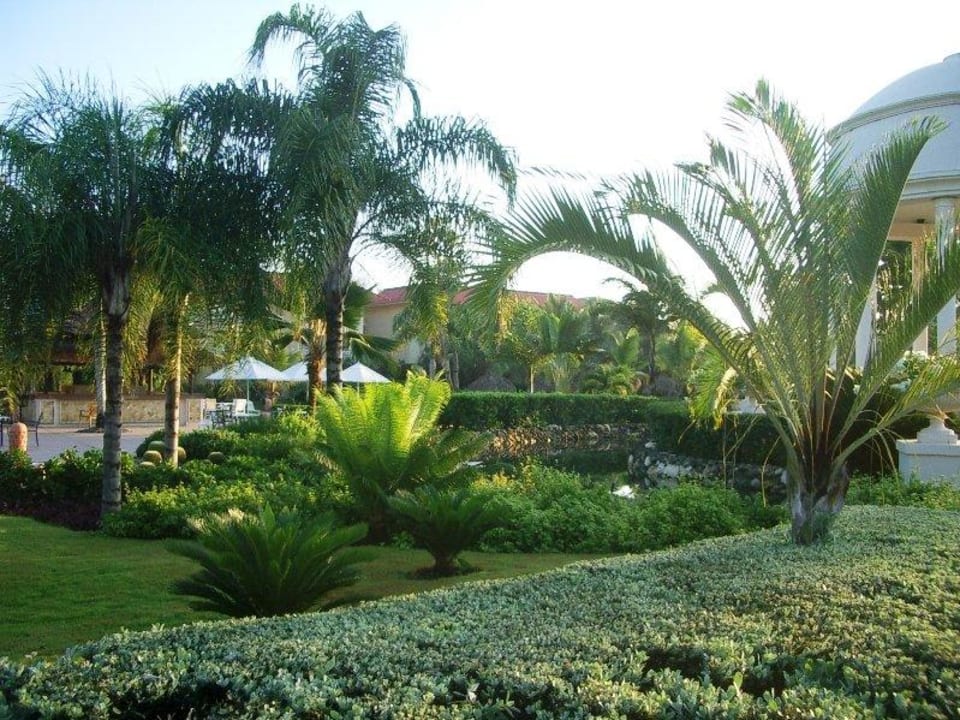 Garten beim Gazebo Wyndham Alltra Punta Cana