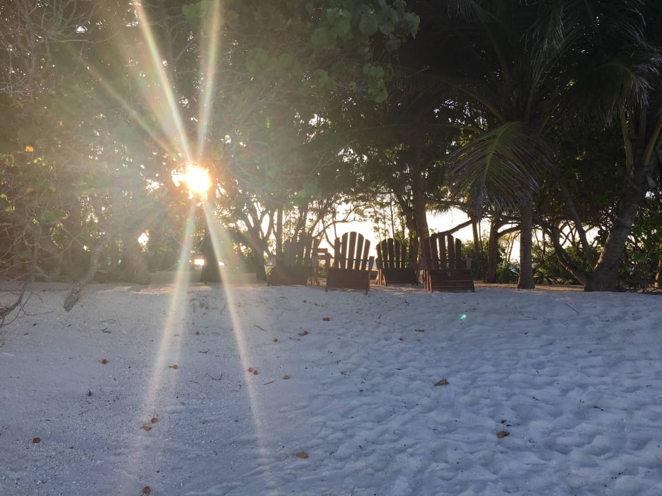 Blick vom Strand Summer Island Maldives