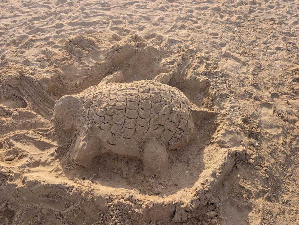 Strand JAZ Elite Asteria