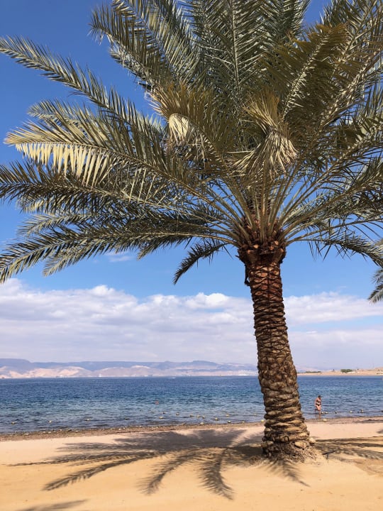 Strand Mövenpick Resort Tala Bay Aqaba