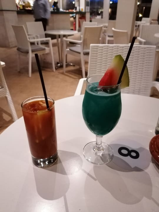 Gastro Apollo Blue
