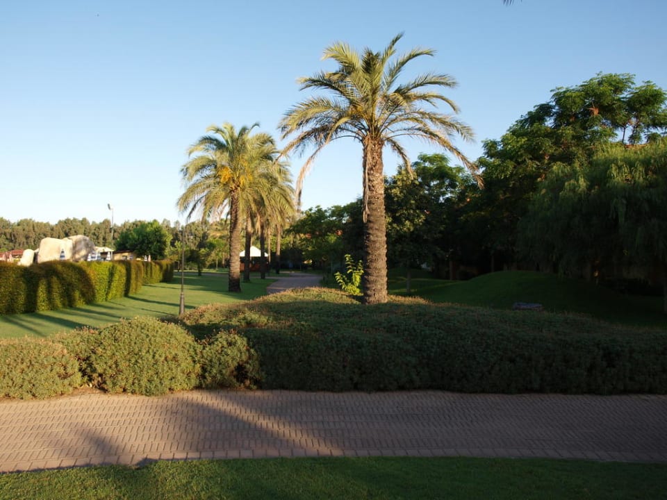 Zahrada Falkensteiner Club Funimation Garden Calabria