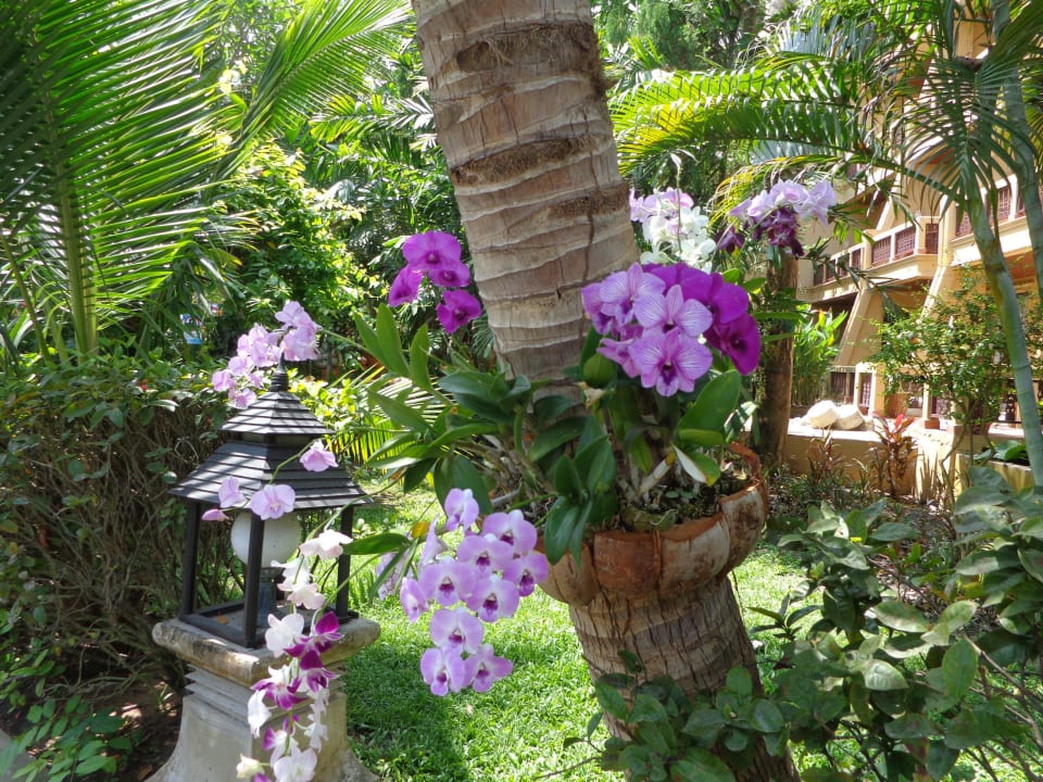 Hotel The Fair House Beach Resort The Fair House Beach Resort