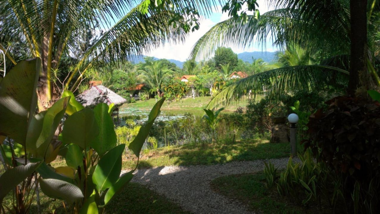 Blick durch die Anlage von der rechten Seite Hotel Khaolak Riverside Bungalow