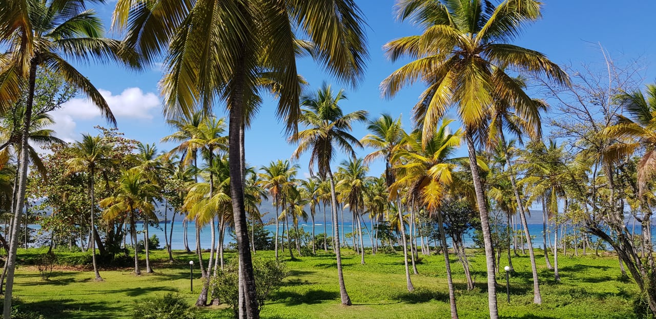 Garten Wyndham Alltra Samana