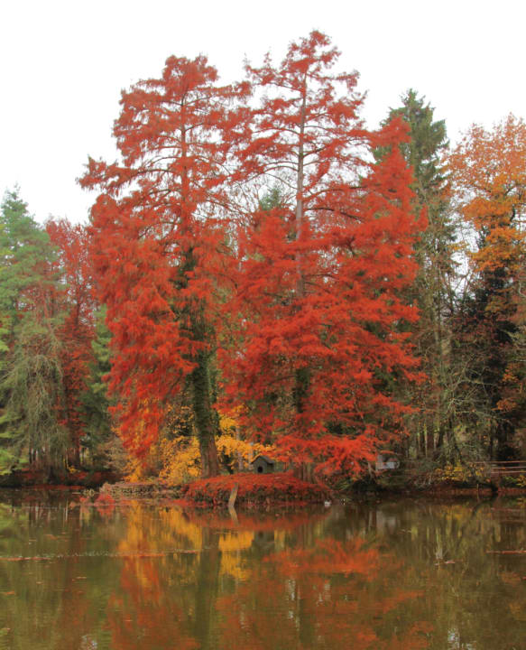 Gartenanlage Hotel Dammenmühle