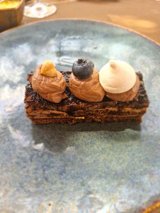 Gastro JAZ Elite Asteria