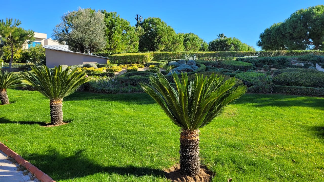 Gartenanlage Susesi Luxury Resort