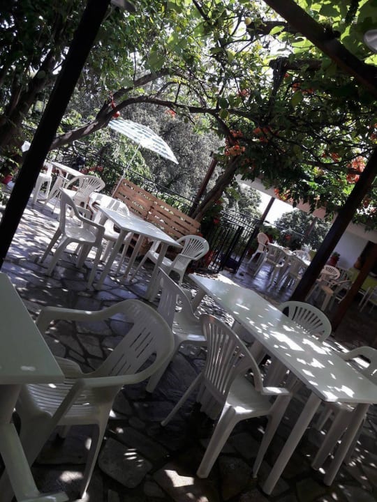 Garden area for guests Hostel Katerina