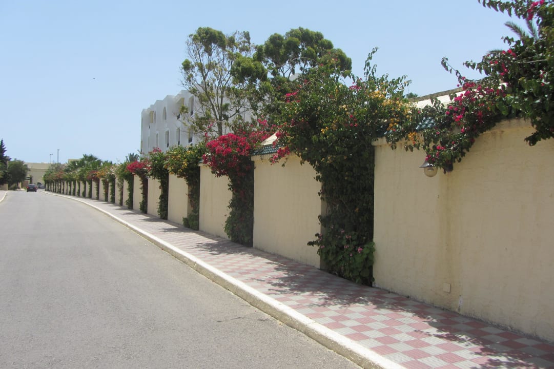 Аллея к отелю. Hotel Paradis Palace