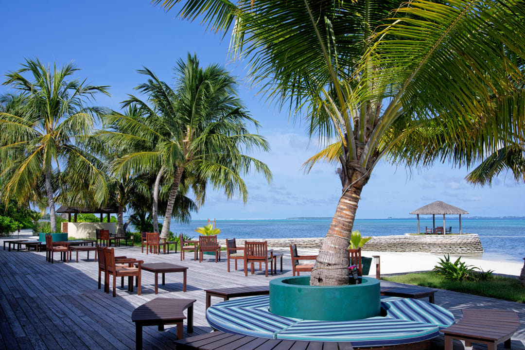 Gastro Canareef Resort Maldives