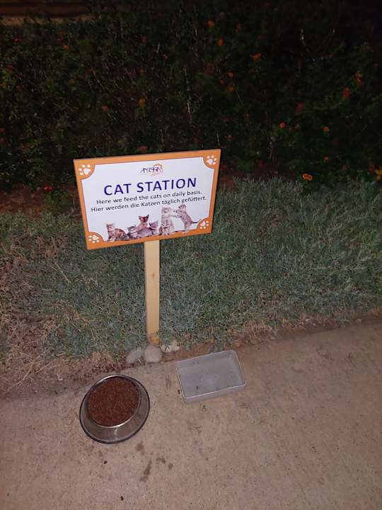 Sonstiges Anissa Beach & Village