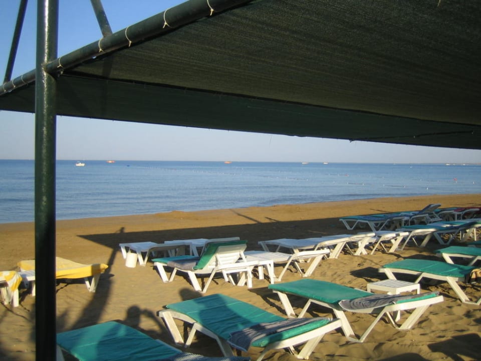 Strand Trendy Palm Beach (Adults Only, 16+)