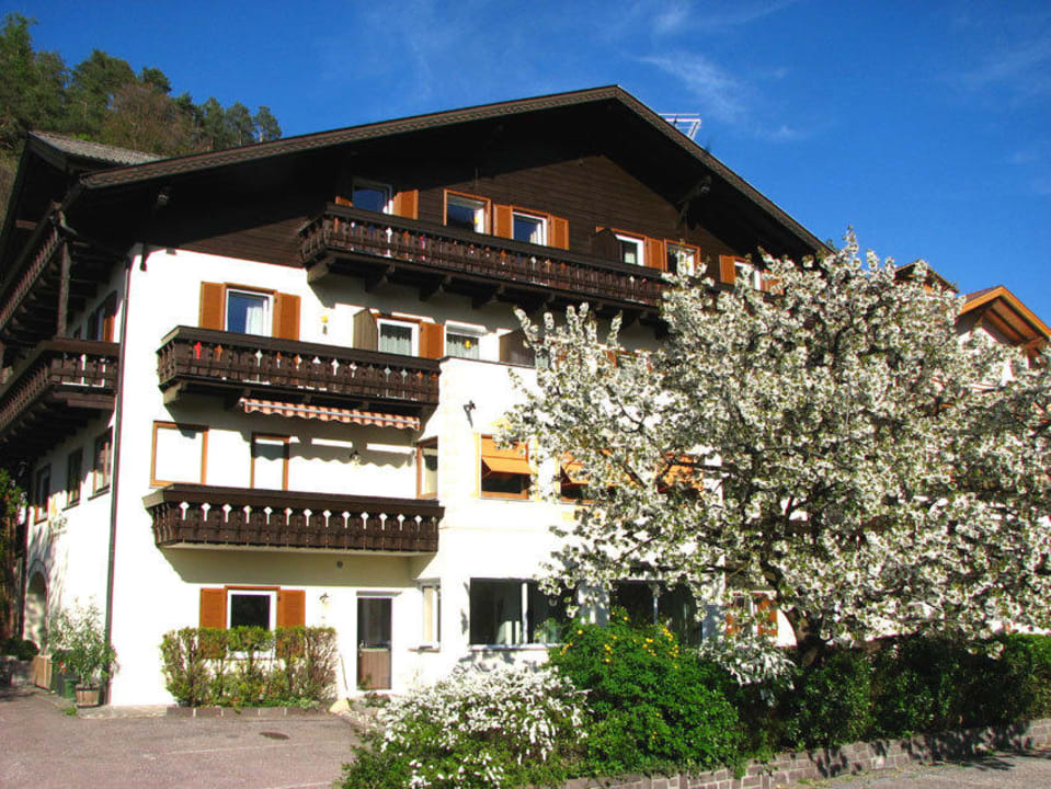 Südseite Sonnleiten mit Kirschbaumblüte Dolomiten Sonnleiten Dolomiten Residence