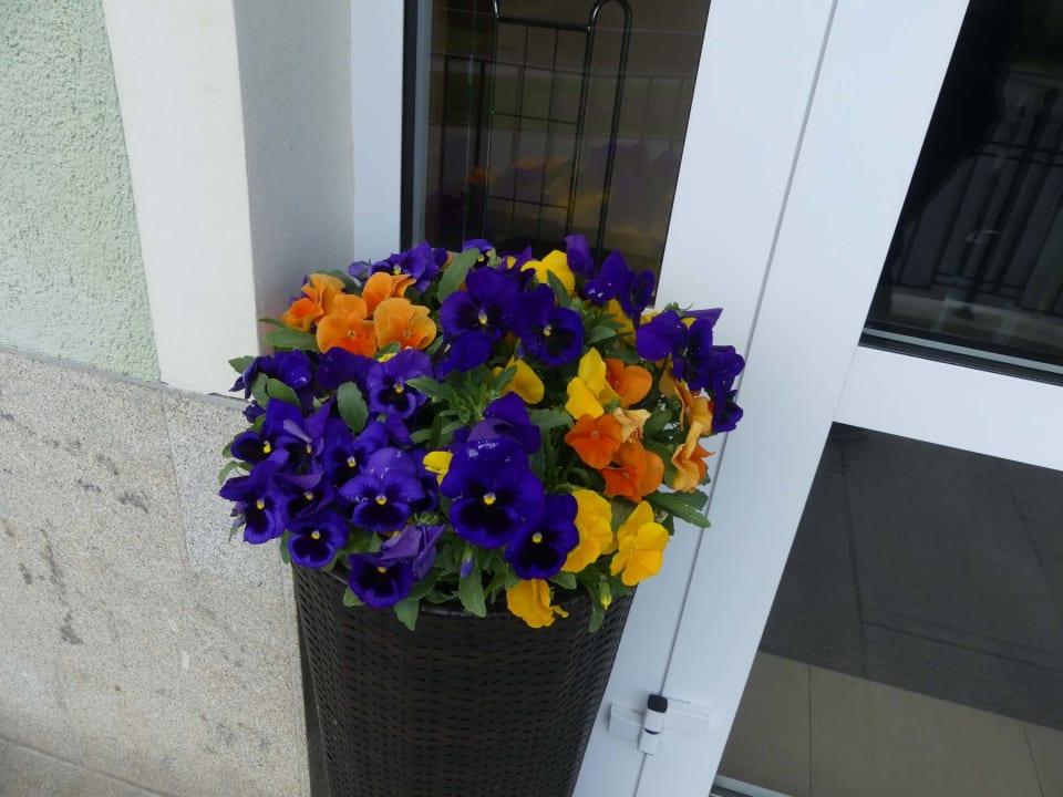 Garten Hotel Komorni Hurka