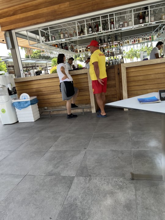 Gastro Acanthus Cennet Barut Collection