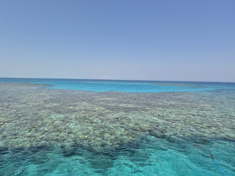 Strand Pickalbatros Citadel Resort