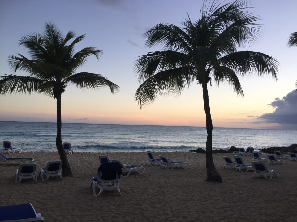 Strand Hotel Viva Dominicus Palace by Wyndham-All Inclusive Resort